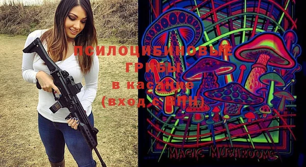 бошки Балахна