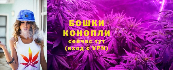 бошки Балахна