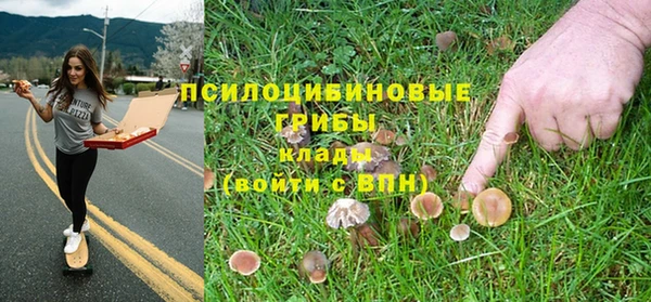 бошки Балахна